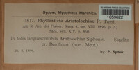 Phyllosticta aristolochiae image